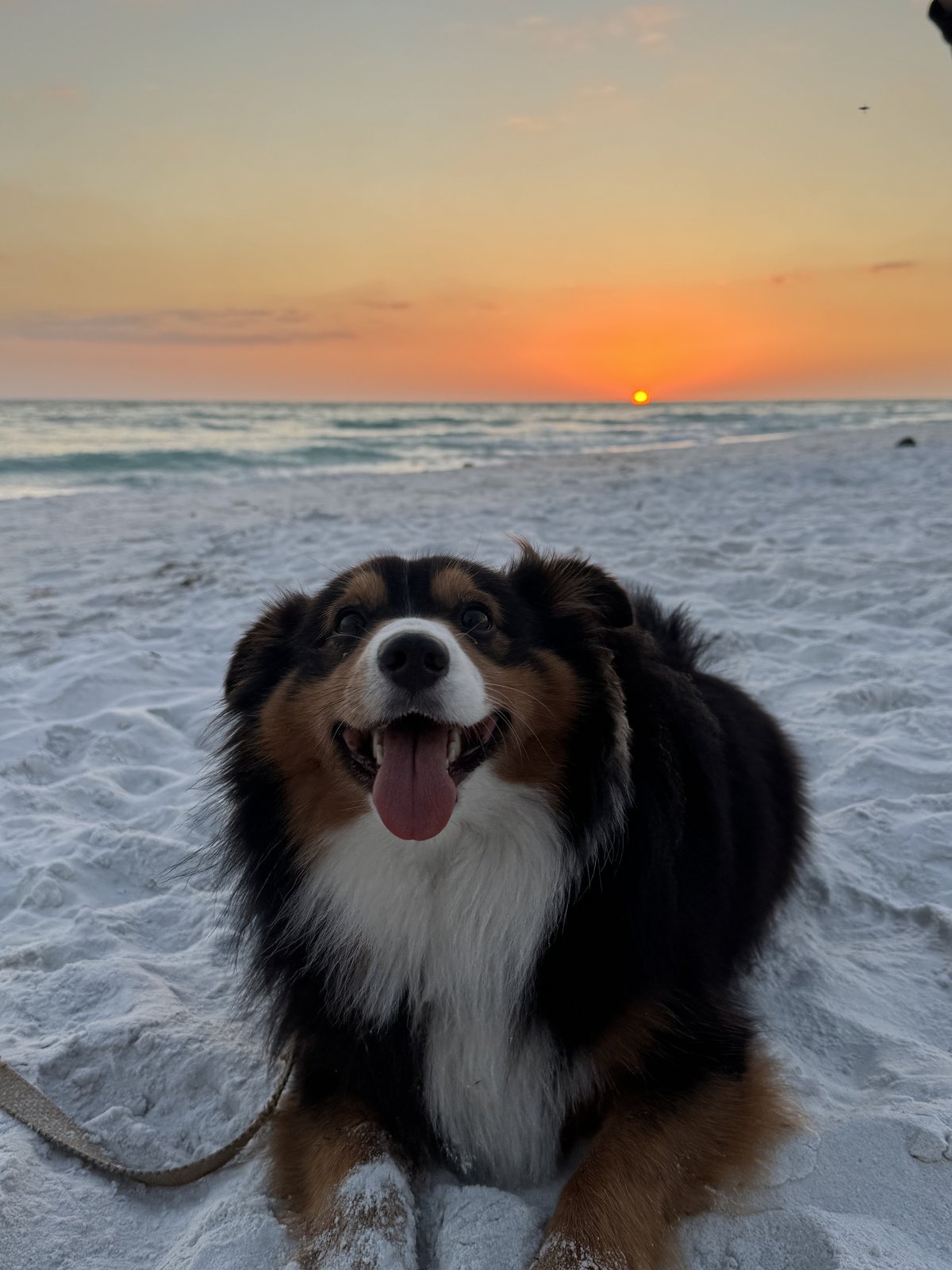 Denny smiling on the beach at sunset