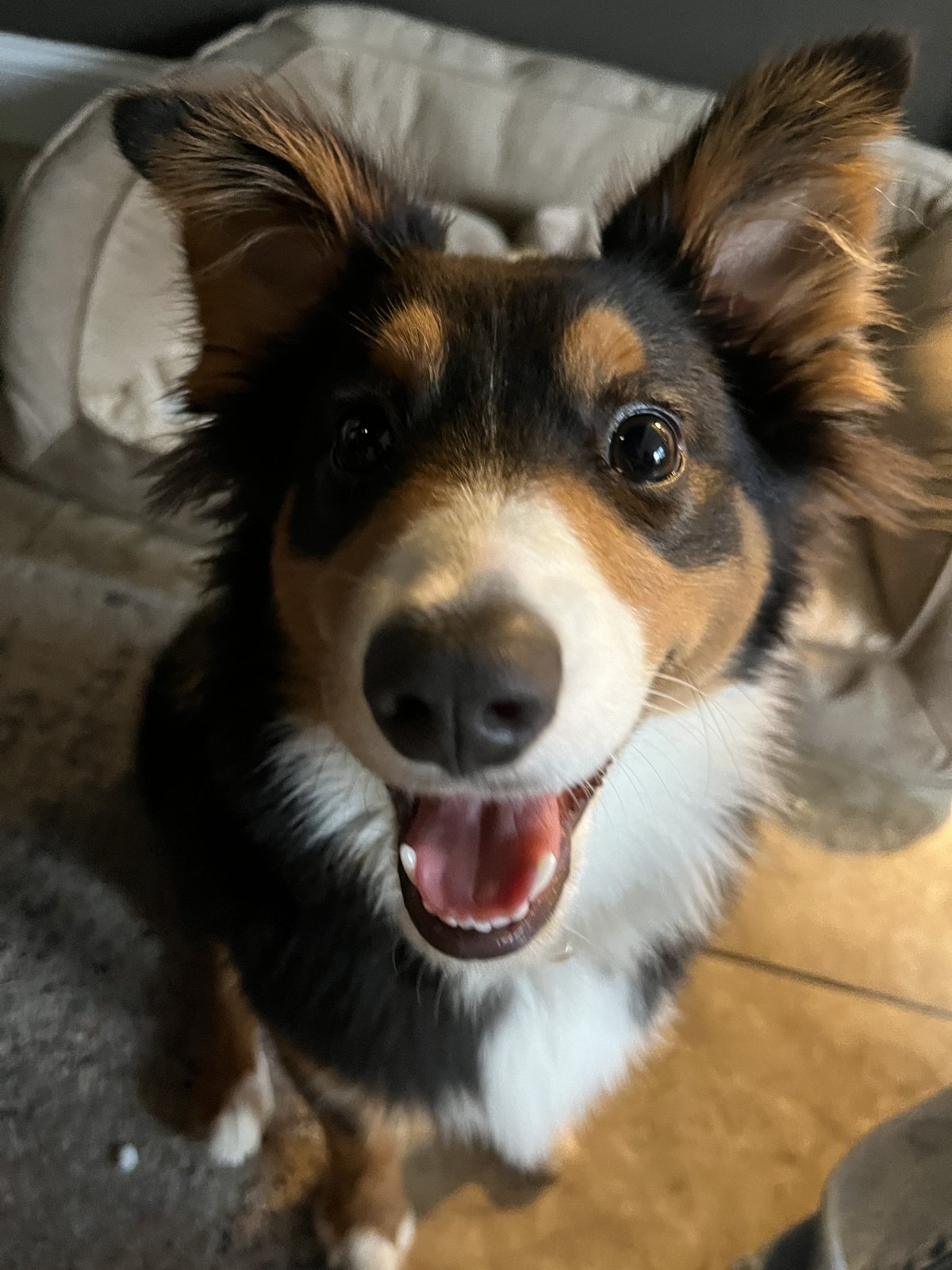 Denny close-up grin